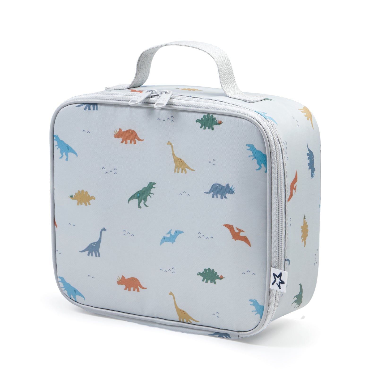 Insulated Lunch Box for School & Travel