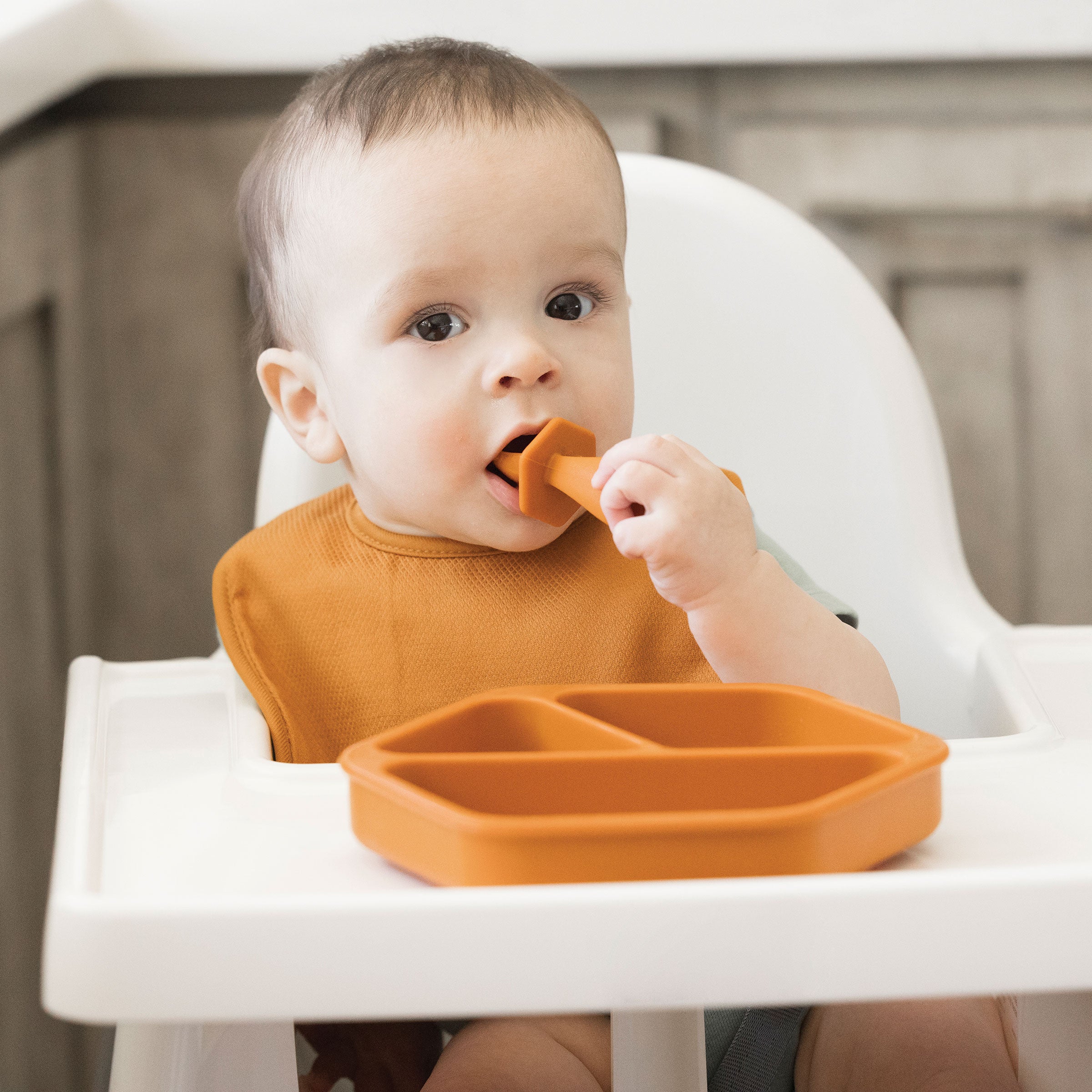 Silicone Suction Plates for Babies and Toddlers