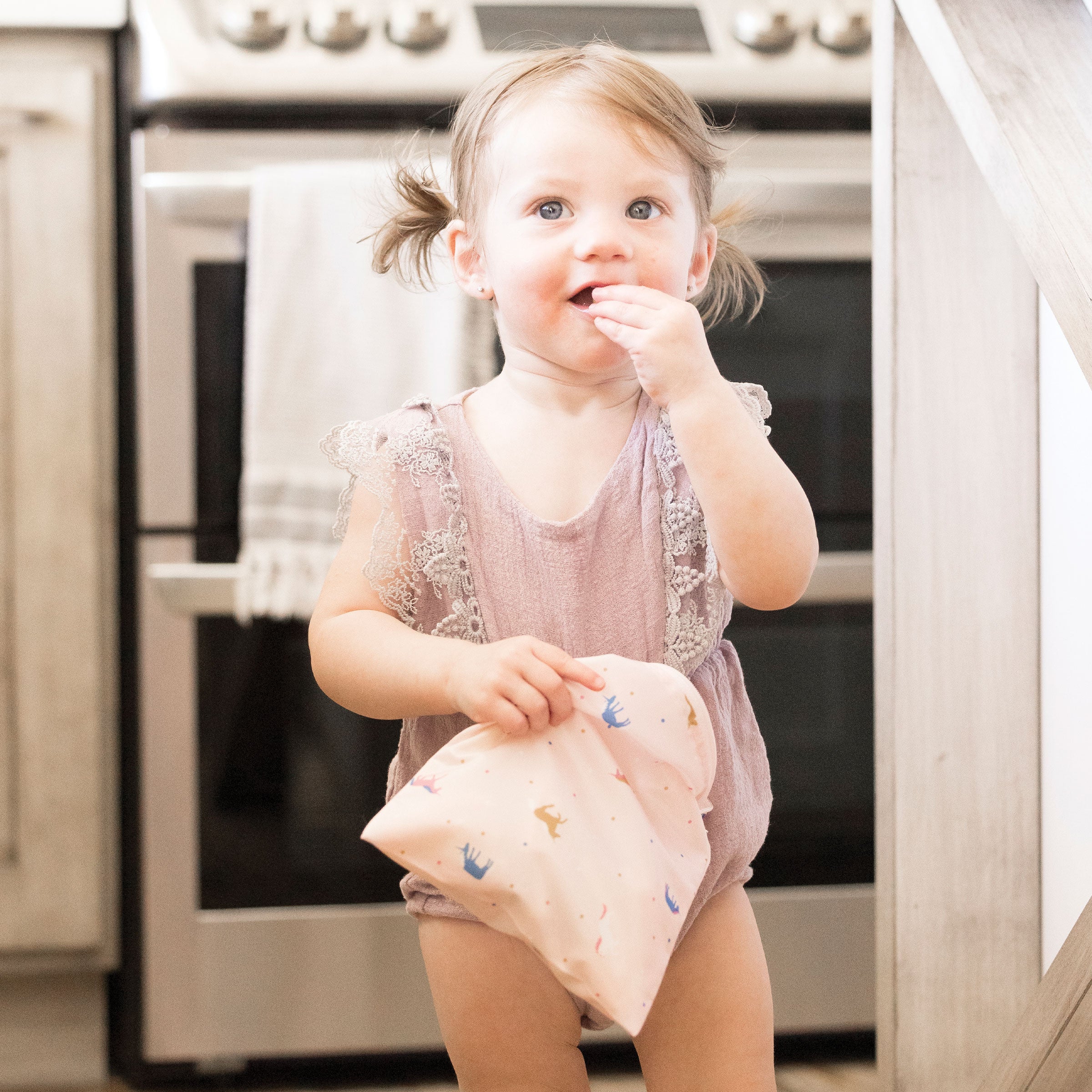 Reusable Snack Bags Multi-Pack Sets
