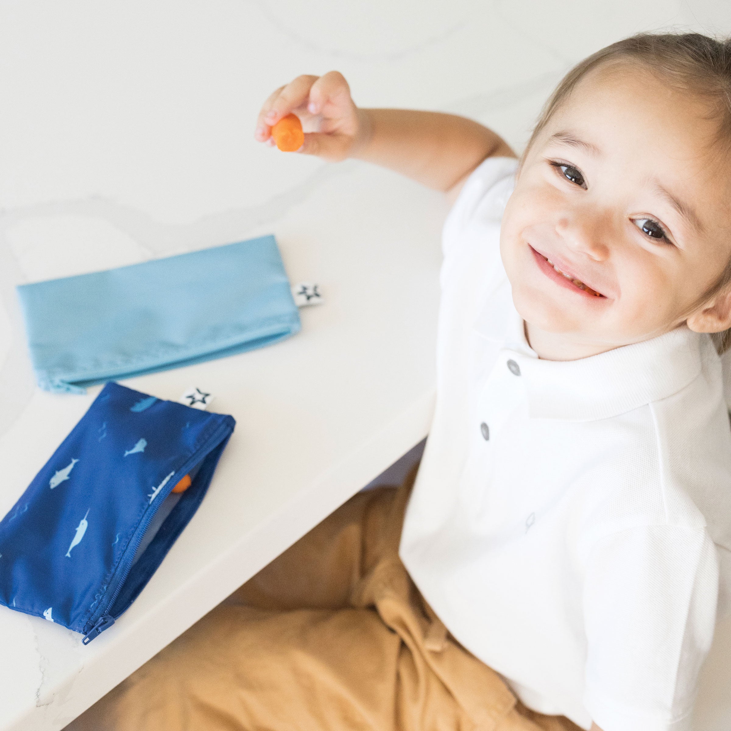 Reusable Snack Bags Multi-Pack Sets